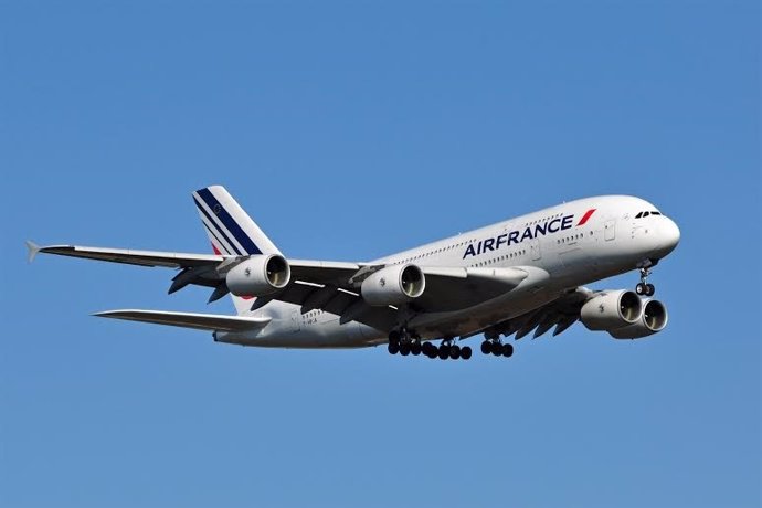 Descubren a un bebé en un vuelo de Air France