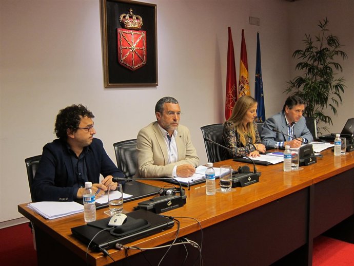 Miguel Laparra en una comisión parlamentaria 