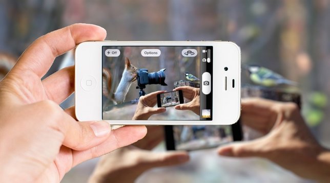 Lo que la foto de una ardilla tomando una foto a un pájaro ha dado de sí