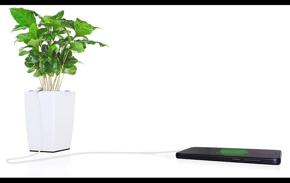 Foto: ARKYNE TECHNOLOGIES 