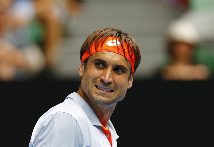 El tenista español David Ferrer