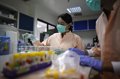 AIEA capacita a expertos de América Latina para diagnosticar el zika