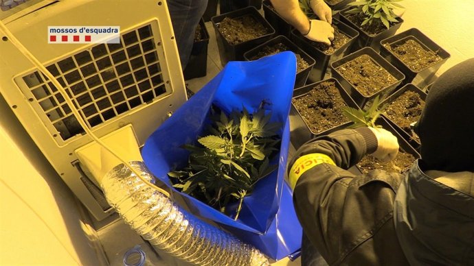 Nueve detenidos de un grupo que robaba en áreas de servicio catalanas