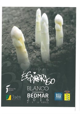 Cartel de la I Feria del Espárrago