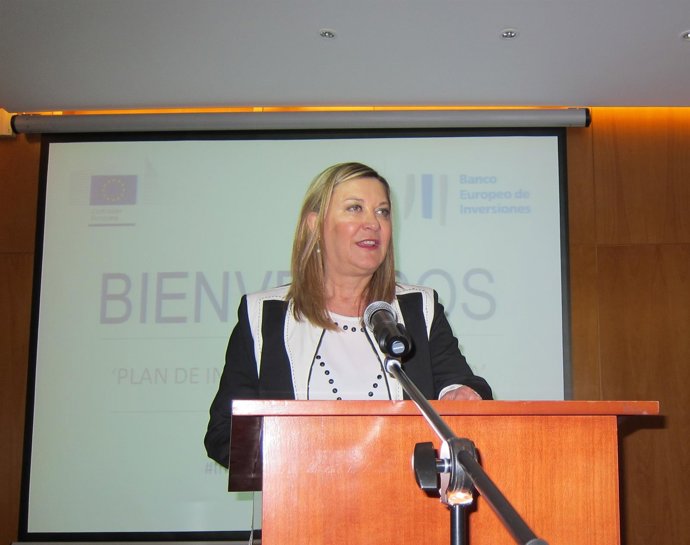 Del Olmo en el  seminario 'Plan de Inversiones para Europa' 