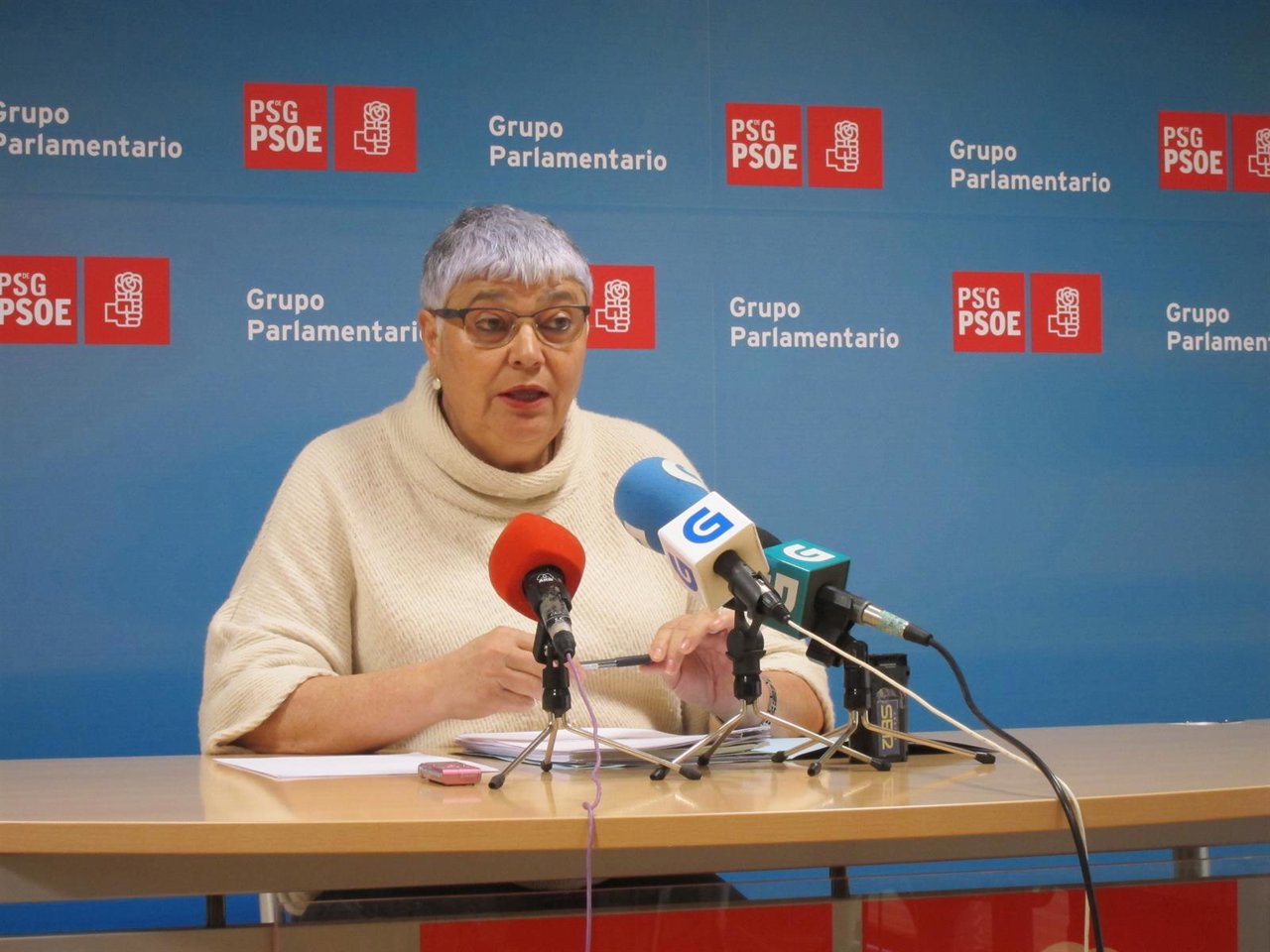 Marisol Soneira (PSdeG)