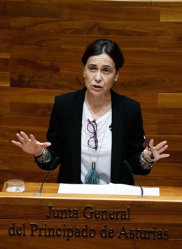 La consejera Dolores Carcedo, durante el Pleno. 
