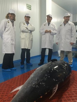 Empresa  Román y Martos