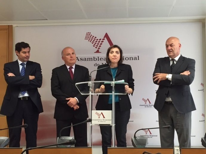 Comparecencia consejera de Sanidad, Encarna Guillén, en la Asamblea