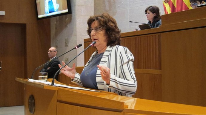 La consejera María Victoria Broto