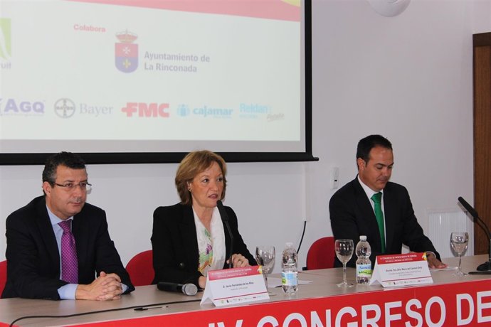 IV Congreso de Patata Nueva de España