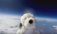 Internet busca a Sam, el perro de peluche que fue visto por última vez en la estratosfera