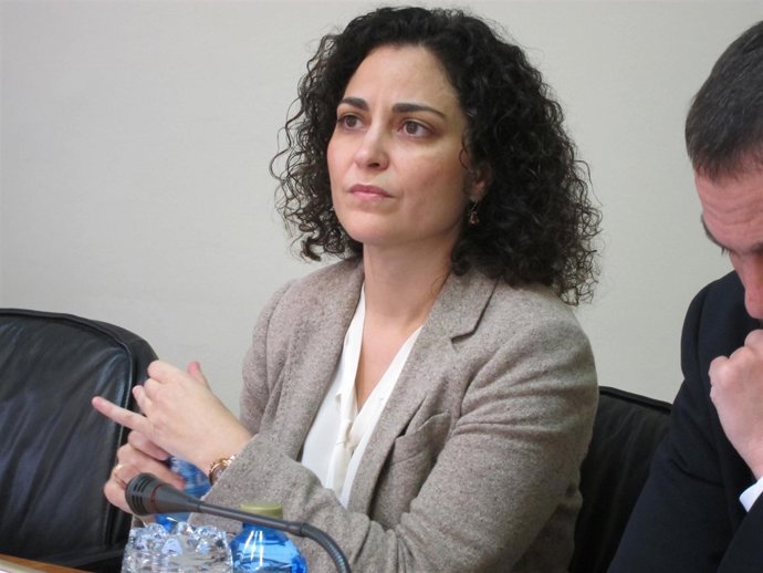 La directora xeral Amparo González en la Comisión parlamentaria
