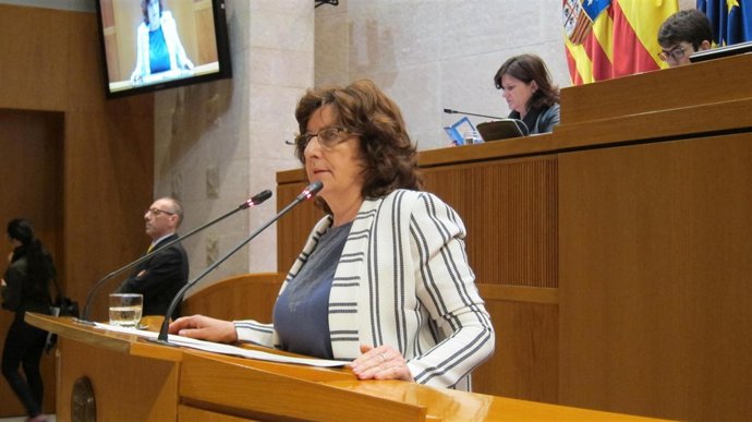 La consejera María Victoria Broto