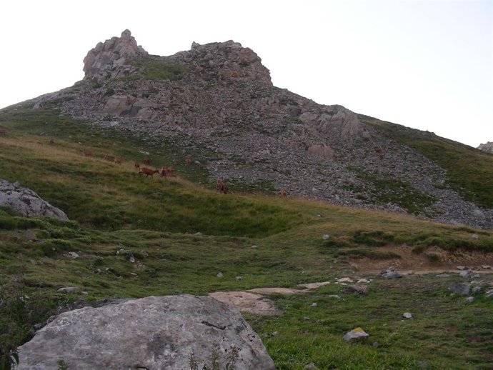  Picos de Europa en León