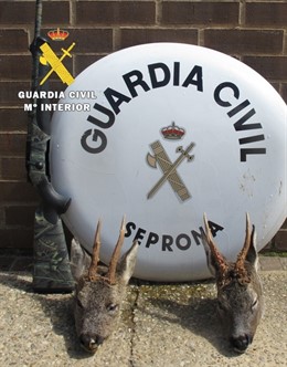 Cabezas de corzo y arma intervenidas. 