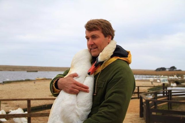 Con este abrazo el cisne agradece que este hombre lo rescatara