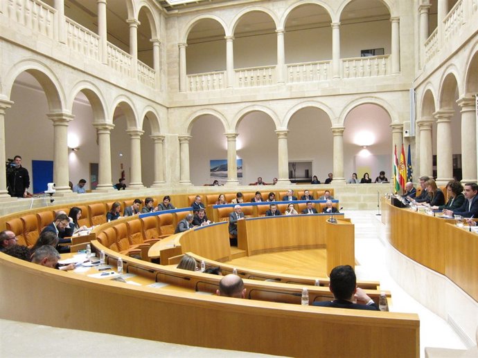 Pleno del Parlamento de La Rioja