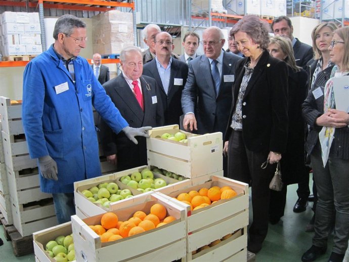 La Reina Doña Sofía y las autoridades recibe las explicaciones de un voluntario