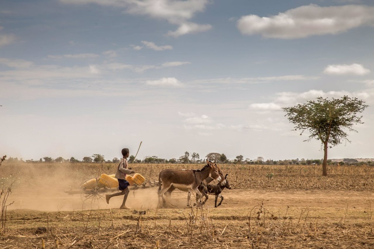 Escasez de agua en Etiopía