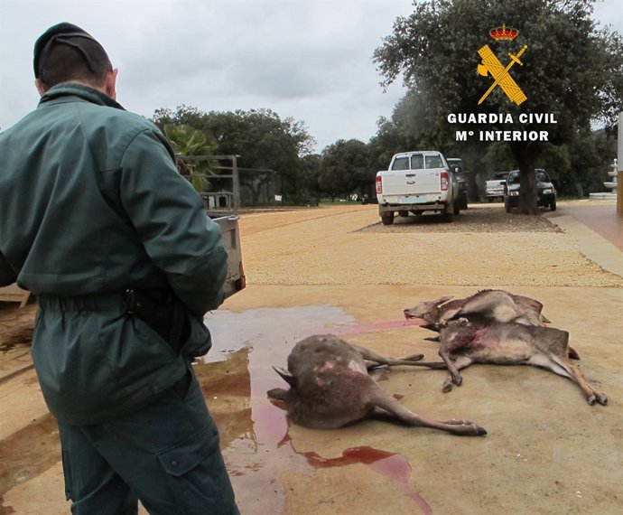 Reses intervenidas por la Guardia Civil