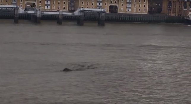Extraña figura aparece en el Támesis