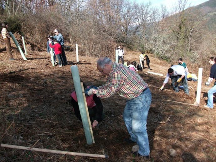 Plantación de árboles por la Fundación Oso Pardo.