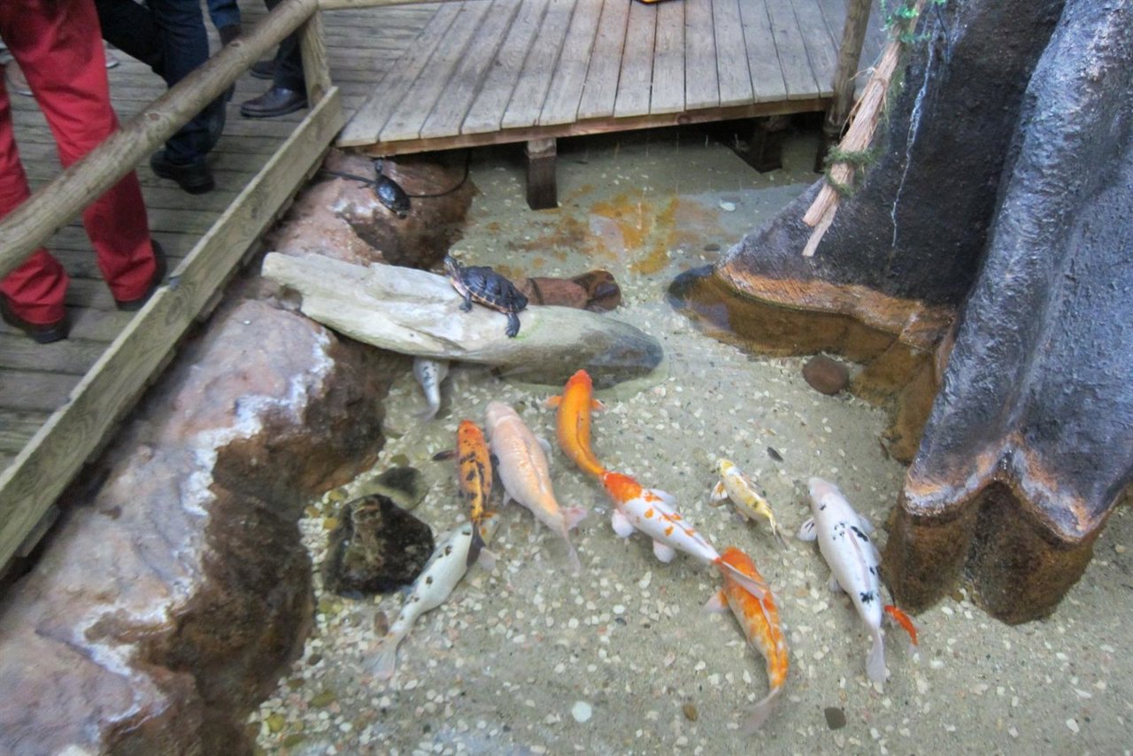 Acuario de Zaragoza.