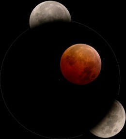 NOTA DE PRENSA Y FOTOGRAFÍA: MUSEOS CONFERENCIA