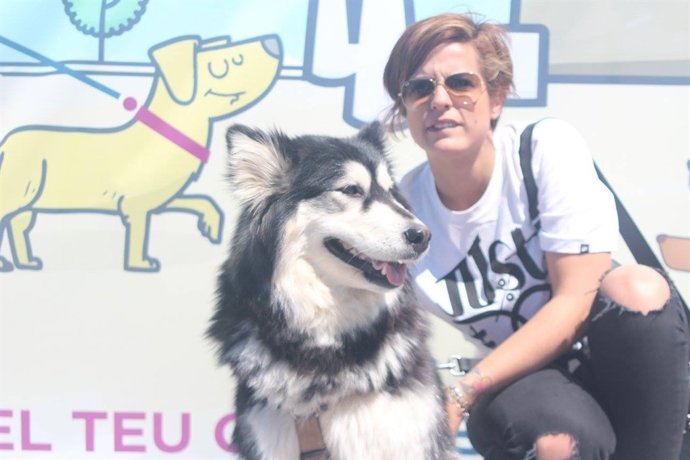 Paterna elige a su mascota en un casting canino