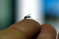 EEUU advierte de que el zika podría ser "más peligroso de lo que se pensaba en un principio"