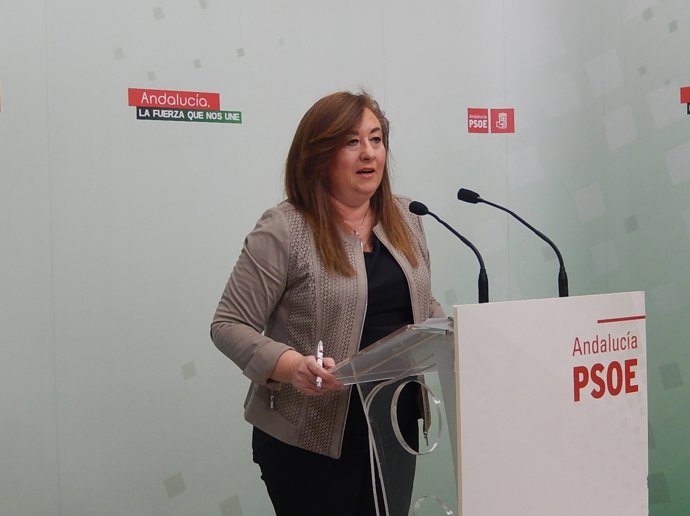 La portavoz del PSOE-A de Igualdad y Políticas Sociales en el Parlamento andaluz
