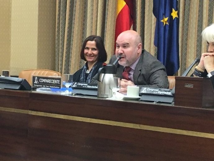 El presidente del CERMI comparece en el Congreso