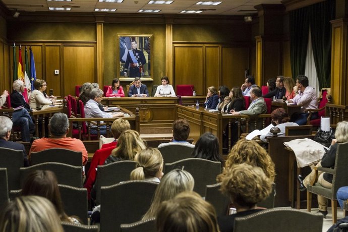 Diputación constituye el Consejo Provincial de la Familia de Almería.