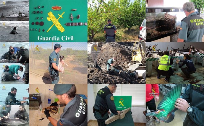 Mosaico con distintas actuaciones desarrolladas por el SEPRONA