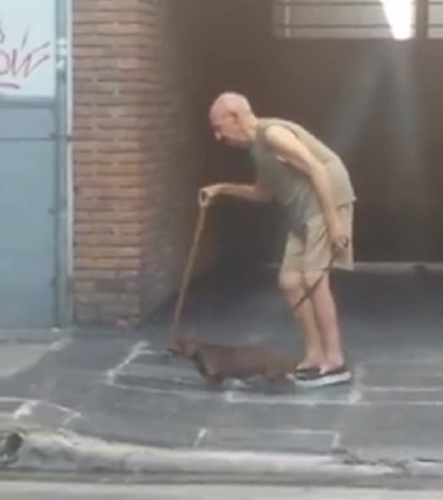 El mejor amigo de un anciano: este perro