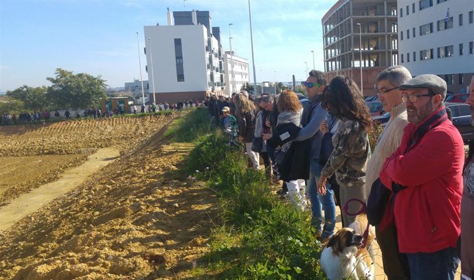Dirigentes de IU, en la zona arqueológica de El Seminario. 
