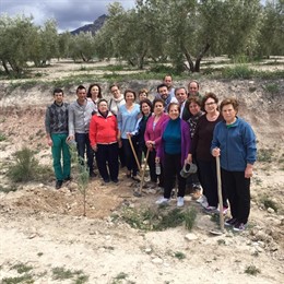 Plantación de árboles en la A-315