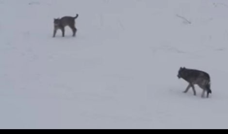 Cooperación y Desarrollo