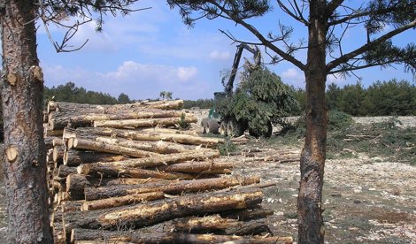 Cooperación y Desarrollo