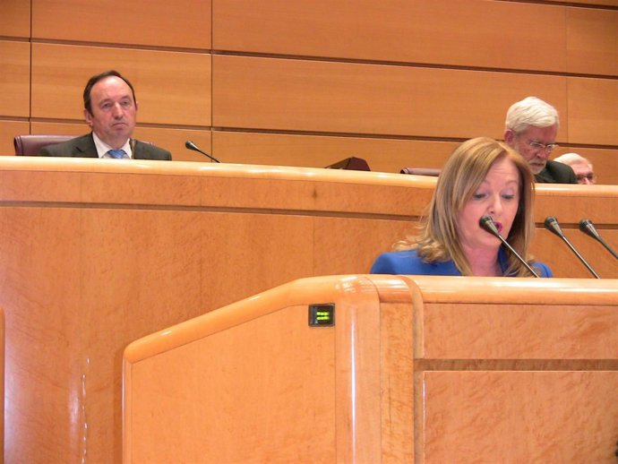 Francisca Mendiola (PP), en el Senado
