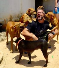 Este hombre da de comer a 80 perros callejeros cada día y el motivo es conmovedor
