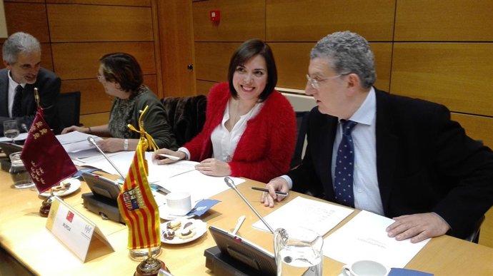  Guillén En La Reunión Del Pleno Del Consejo Interterritorial De Salud
