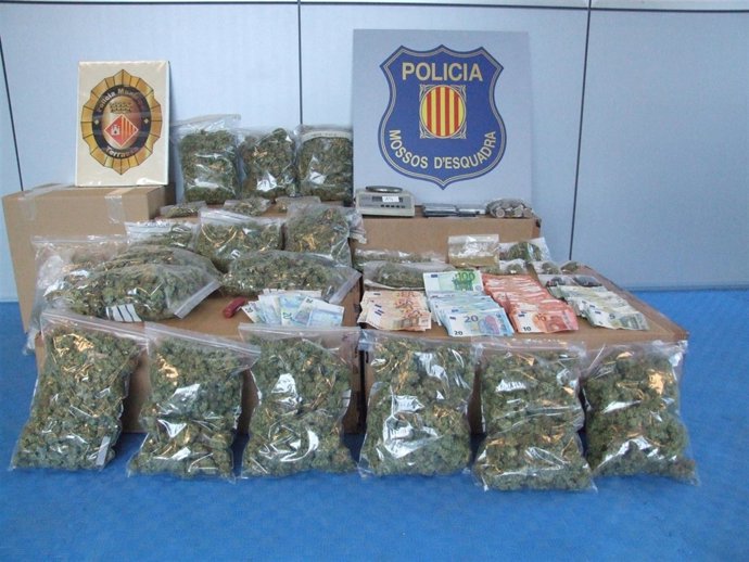 Incautación de marihuana y hachís en la operación conjunta