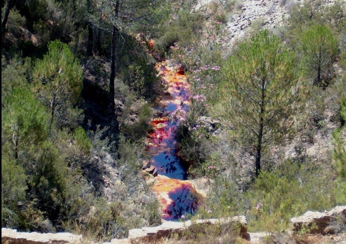 Zona Del Río Tinto En La Provincia De Huelva, Donde Se Ha Hecho El Estudio. 