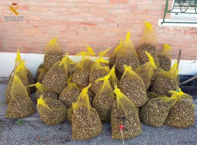 La Guardia Civil interviene 368 kilos de caracoles
