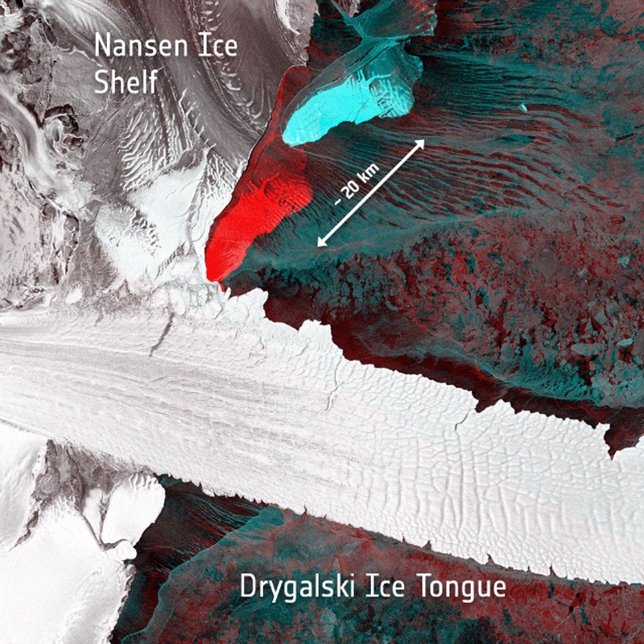 Icebergs desprendidos de la plataforma Nansen