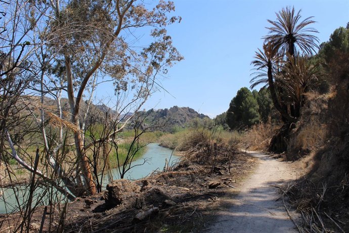 Incendio en la ribera del Segura