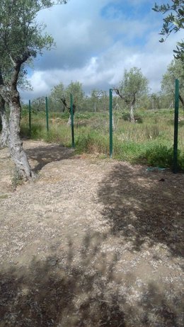 El perímetro del parque tras el robo.