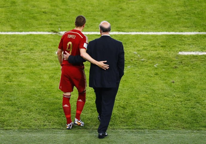 Fernando Torres y Vicente del Bosque en el Mundial de Brasil